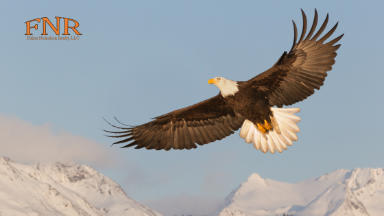 Best Places for Snowy Photography Around the Klamath Basin | Fisher Nicholson Realty