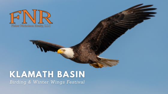 Winter Wings Festival - Klamath Basin Birding - Fisher Nicholson Realty