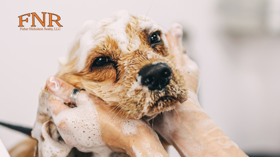 Pet-Friendly Klamath Falls: Dog Parks, Grooming Services, and More | Fisher Nicholson Realty