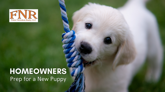 Prep Your Home for a Puppy - Fisher Nicholson Realty