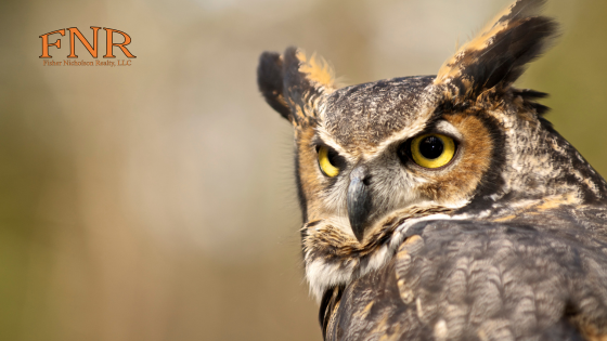 Where to See Wildlife Around the Klamath Basin This Summer | Fisher Nicholson Realty