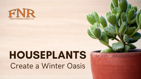 Winter Oasis: Selecting the Perfect Houseplants | Fisher Nicholson Realty