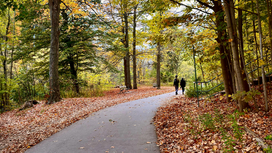 Fall Color Walks and Scenic Overlooks Around the Klamath Basin | Fisher Nicholson Realty
