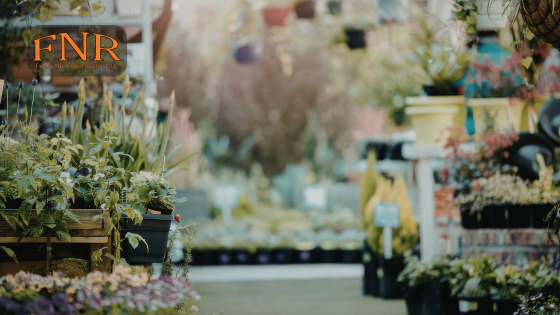 Garden Centers and Nurserie