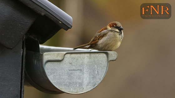 Sellers: Outdoor Repairs That Make a Strong First Impression | Fisher Nicholson Realty